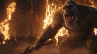 Kong