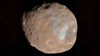 Phobos rp
