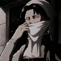 Levi aot