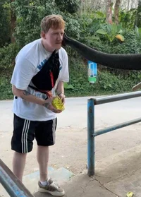 DKincc