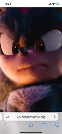 Shadow the Hedgehog 