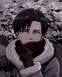 Levi Ackerman 