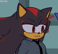 Shadow T Hedgehog