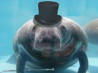 Создатель_18