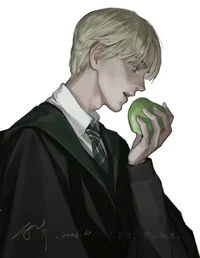 Draco M B