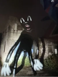 Cartoon cat