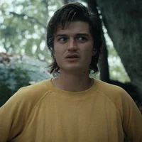 steve harrington 