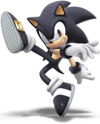 Salion The Hedgehog 