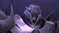 Megatron TFP