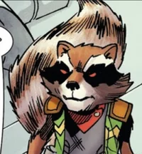 Rocket raccoon 