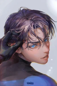 DC - Richard Grayson