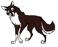 Balto