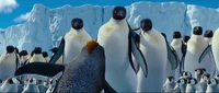 Happy Feet Penguins