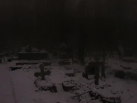 похоронили заживо