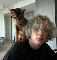 парадеевич