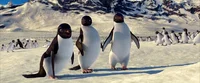 Happy Feet Adelie
