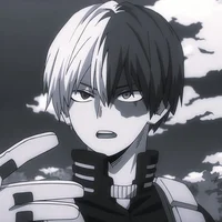 Shoto Todoroki