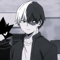 Shoto Todoroki
