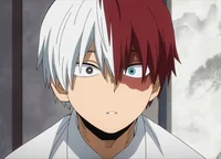 Shoto Todoroki