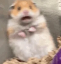 Countryhumans_pickme