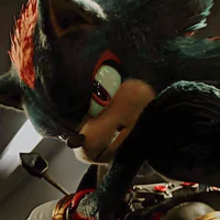 SHADOW AND SONIC