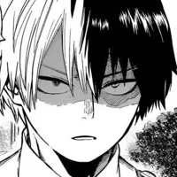 MHA-Todoroki Shoto