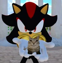 Shadow the Hedgehog