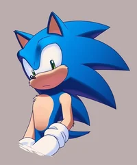 Sonic the hedgehog