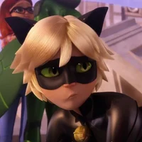 Chat noir