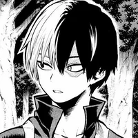 O1  Shoto Todoroki