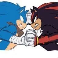 SONIC AND SHADOW 