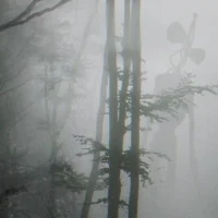 The Forest of Sirens