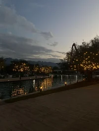 The park