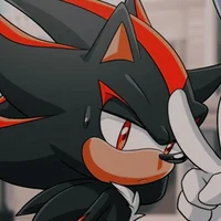 Shadow The Hedgehog