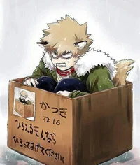 Mha - Box
