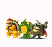 Bowser and the kings