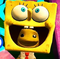 Sacksponge