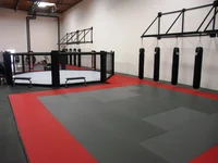 MMA Gym o Dojo