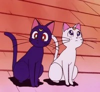 Luna and Artemis