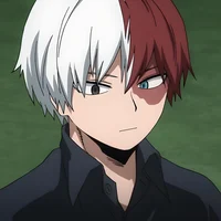Shoto Todoroki 