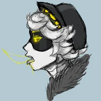 Serial Designation N