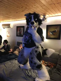 TripECollie Fursuit 