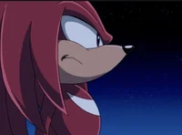 Knuckles 