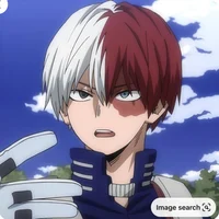 Shoto Todoroki