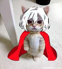 Shigaraki Tomura cat