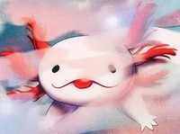 The Axolotl 