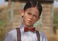 Alfalfa 