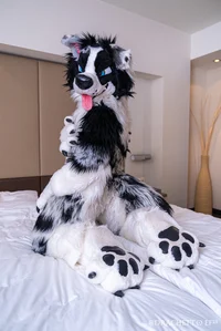 TripECollie Fursuit