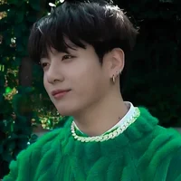 Jeon Jungkook 