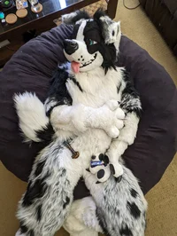 TripECollie Fursuit